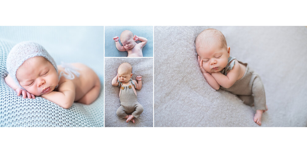 newborn north york